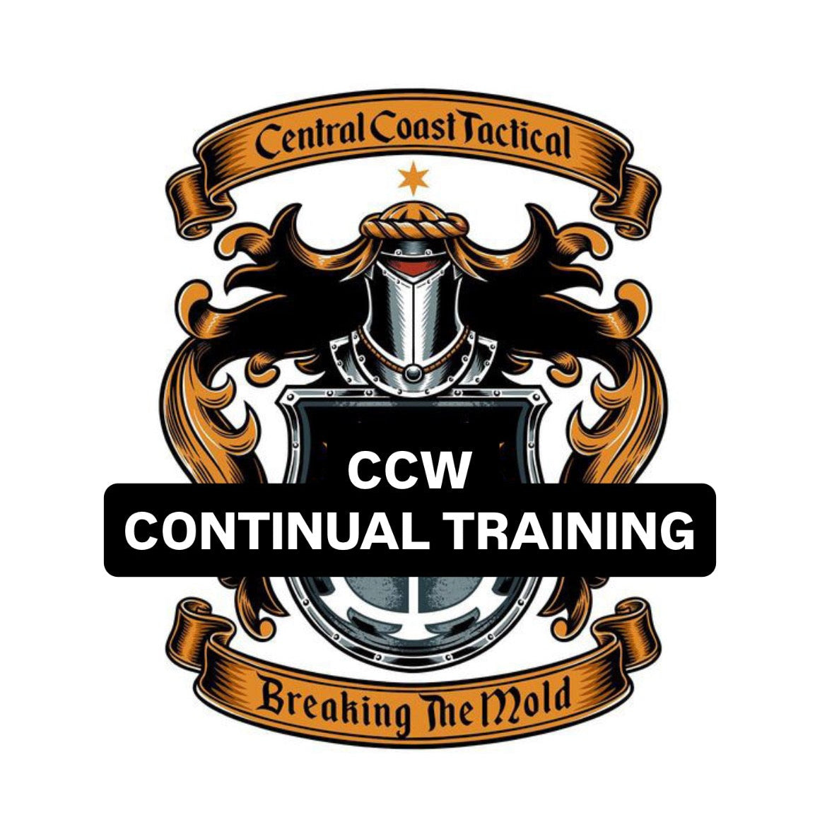 CCW Continual Training