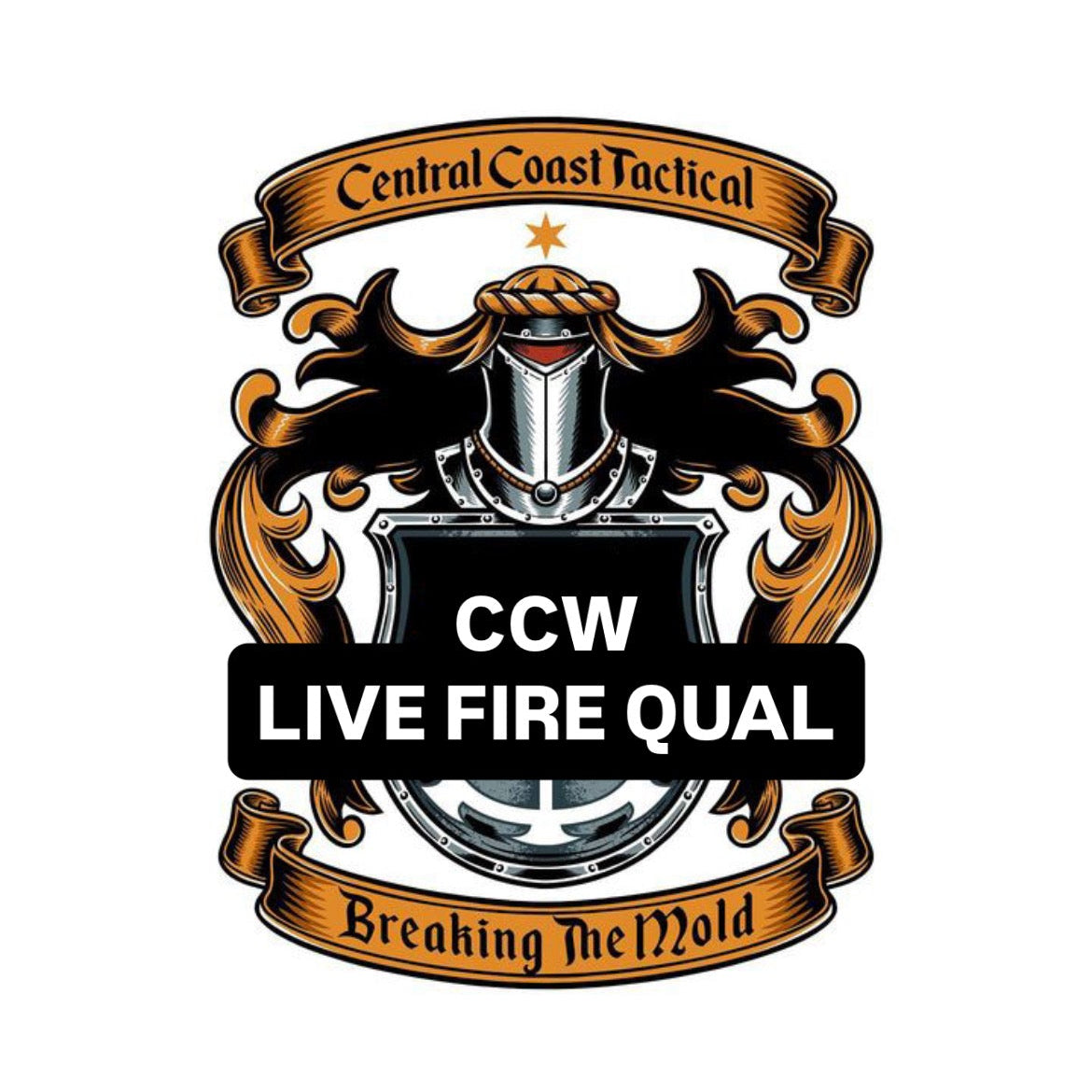 CCW Qualification (Online or Modification)